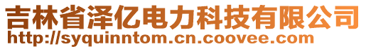 吉林省澤億電力科技有限公司