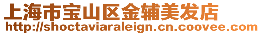 上海市寶山區金輔美發店