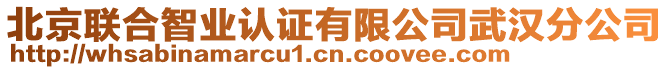 北京聯合智業認證有限公司武漢分公司