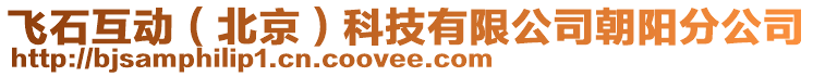 飛石互動(北京)科技有限公司朝陽分公司