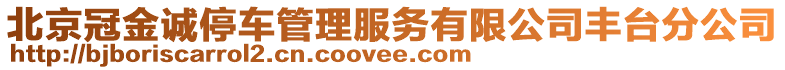北京冠金誠停車管理服務有限公司豐臺分公司