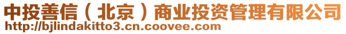 中投善信(北京)商業(yè)投資管理有限公司