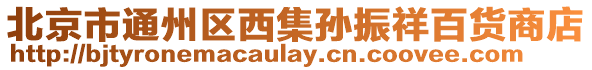 北京市通州區(qū)西集孫振祥百貨商店