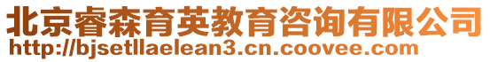 北京睿森育英教育咨詢有限公司