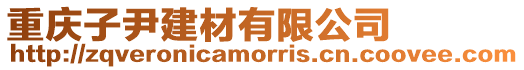 重慶子尹建材有限公司