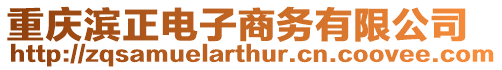 重慶濱正電子商務(wù)有限公司