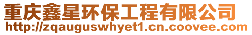重慶鑫星環保工程有限公司
