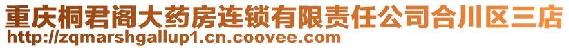 重慶桐君閣大藥房連鎖有限責任公司合川區三店