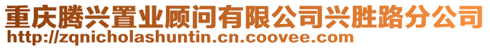 重慶騰興置業(yè)顧問有限公司興勝路分公司