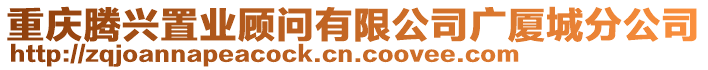 重慶騰興置業(yè)顧問有限公司廣廈城分公司