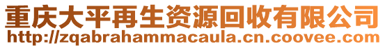 重慶大平再生資源回收有限公司