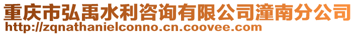 重慶市弘禹水利咨詢有限公司潼南分公司