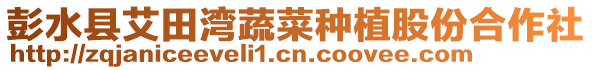 彭水縣艾田灣蔬菜種植股份合作社