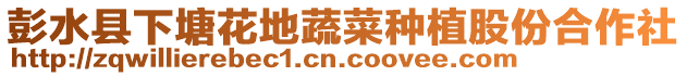 彭水縣下塘花地蔬菜種植股份合作社