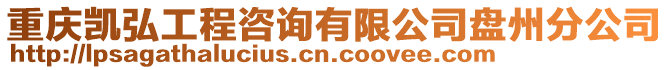 重慶凱弘工程咨詢有限公司盤(pán)州分公司