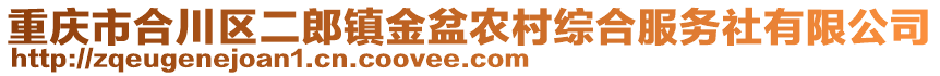 重慶市合川區(qū)二郎鎮(zhèn)金盆農(nóng)村綜合服務(wù)社有限公司