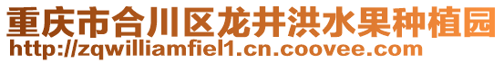 重慶市合川區(qū)龍井洪水果種植園