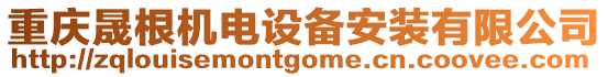 重慶晟根機(jī)電設(shè)備安裝有限公司