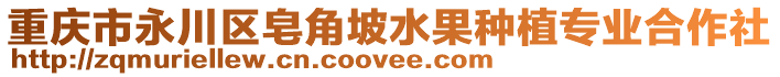 重慶市永川區(qū)皂角坡水果種植專業(yè)合作社