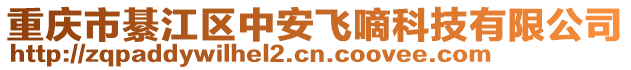 重慶市綦江區(qū)中安飛嘀科技有限公司