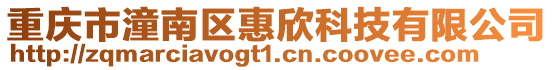 重慶市潼南區惠欣科技有限公司