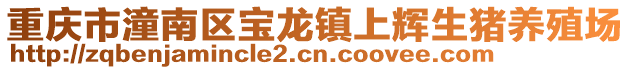 重慶市潼南區(qū)寶龍鎮(zhèn)上輝生豬養(yǎng)殖場