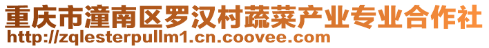重慶市潼南區羅漢村蔬菜產業專業合作社