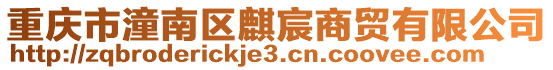 重慶市潼南區麒宸商貿有限公司