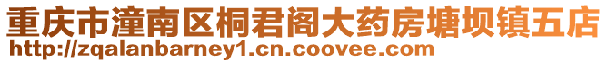 重慶市潼南區(qū)桐君閣大藥房塘壩鎮(zhèn)五店