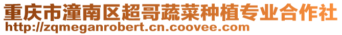 重慶市潼南區(qū)超哥蔬菜種植專業(yè)合作社