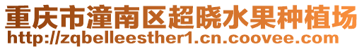重慶市潼南區(qū)超曉水果種植場