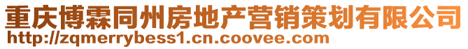 重慶博霖同州房地產營銷策劃有限公司