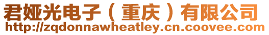 君婭光電子(重慶)有限公司