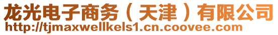 龍光電子商務(天津)有限公司