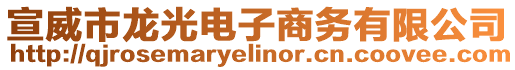 宣威市龍光電子商務(wù)有限公司