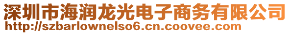 深圳市海潤(rùn)龍光電子商務(wù)有限公司