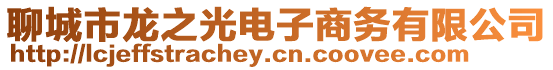 聊城市龍之光電子商務有限公司
