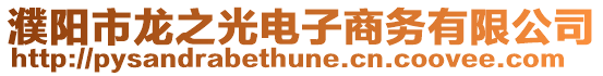 濮陽市龍之光電子商務有限公司
