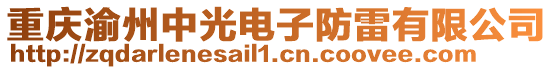 重慶渝州中光電子防雷有限公司