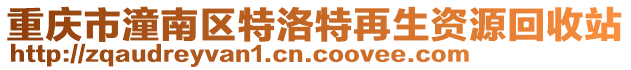 重慶市潼南區(qū)特洛特再生資源回收站