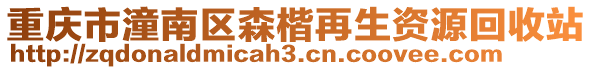 重慶市潼南區(qū)森楷再生資源回收站