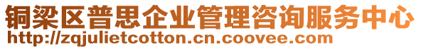 銅梁區(qū)普思企業(yè)管理咨詢服務(wù)中心