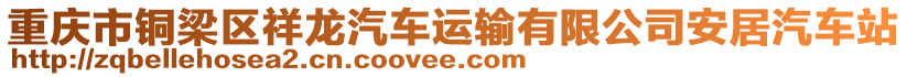 重慶市銅梁區(qū)祥龍汽車運輸有限公司安居汽車站