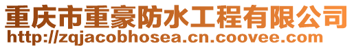 重慶市重豪防水工程有限公司