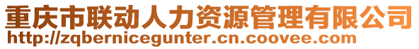 重慶市聯(lián)動(dòng)人力資源管理有限公司