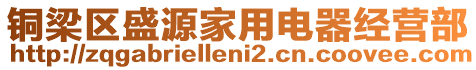 銅梁區盛源家用電器經營部