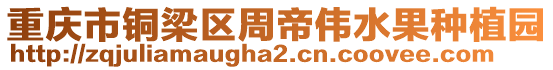 重慶市銅梁區周帝偉水果種植園