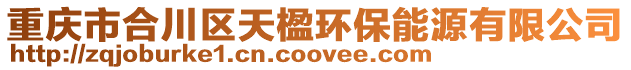 重慶市合川區(qū)天楹環(huán)保能源有限公司