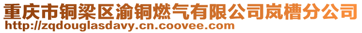 重慶市銅梁區渝銅燃氣有限公司嵐槽分公司