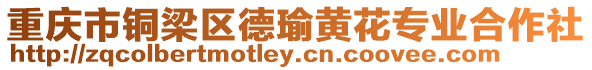 重慶市銅梁區(qū)德瑜黃花專業(yè)合作社